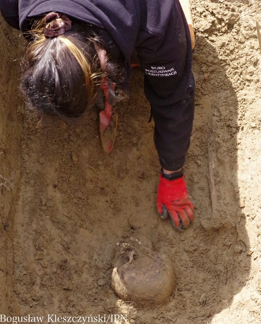 Rzeszów (Pobitno): Poszukiwania szczątków żołnierza NOW/NZW