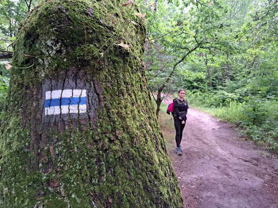 Rajd Historyczny Szlakiem Niepodległości – Pogórze Ciężkowickie i Rożnowskie,11-13 czerwca 2024. Fot. (IPN)