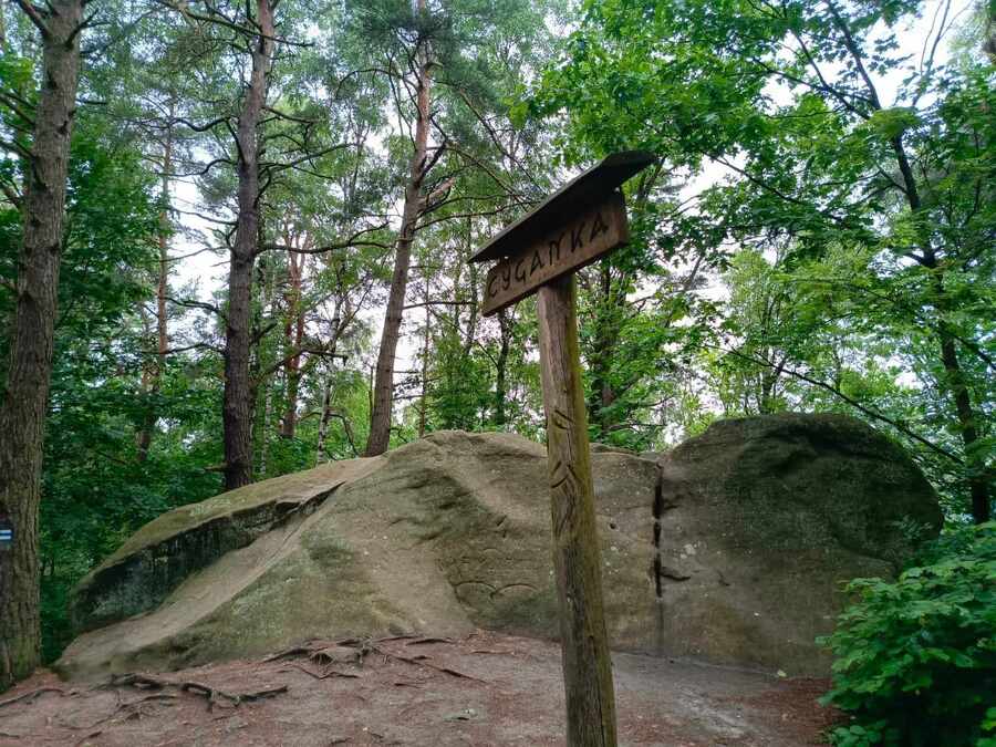 Rajd Historyczny Szlakiem Niepodległości – Pogórze Ciężkowickie i Rożnowskie,11-13 czerwca 2024. Fot. (IPN)