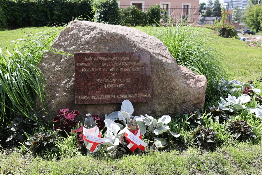 Narodowy Dzień Pamięci Ofiar Niemieckich Nazistowskich Obozów Koncentracyjnych i Obozów Zagłady – Rzeszów, 14 czerwca 2024. Fot. Grzegorz Leszczyński (IPN)