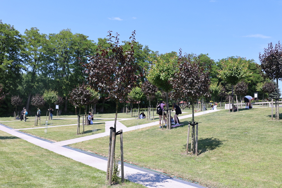 Grupa świętokrzyskich pedagogów i pracowników Delegatury IPN w Kielcach w Markowej – 18 czerwca 2024. Fot. Katarzyna Gajda-Bator (IPN)