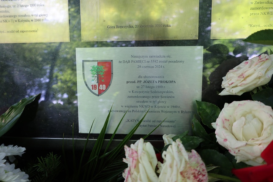Upamiętnienie przodownika PP Józefa Prokopa – Park Krajobrazowy „Buczyna” w Górze Ropczyckiej 29 czerwca 2024. Fot. Radosław Sołek (IPN)