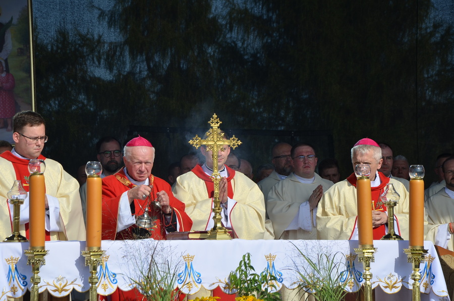 Pierwsza rocznica beatyfikacji Rodziny Ulmów – uroczystości w Markowej, 8 września 2024. Fot. Łukasz Chrobak (IPN)