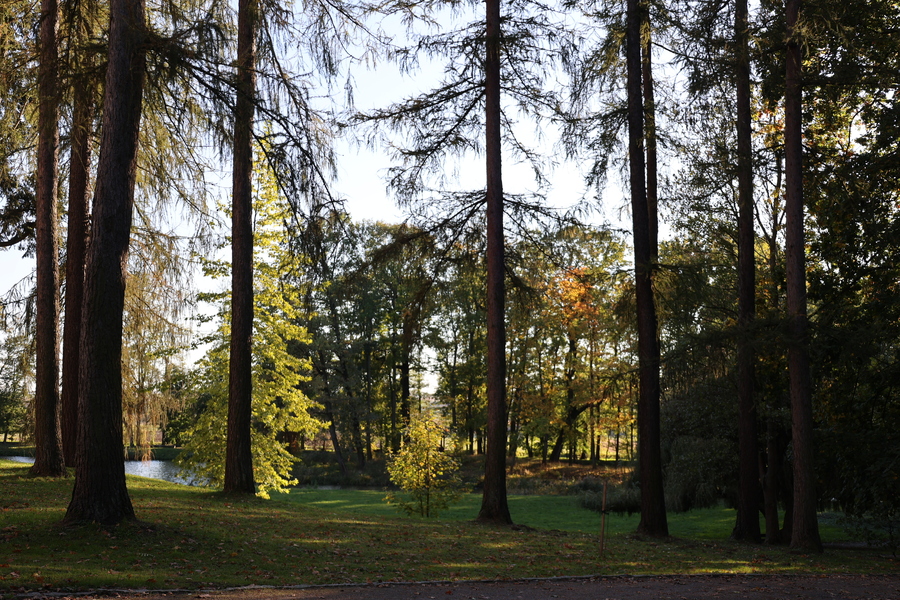 Ogólnopolski zjazdu szkół imienia Wincentego Witosa – Zarzecze, 17 października 2024. Fot. Katarzyna Gajda-Bator (IPN)