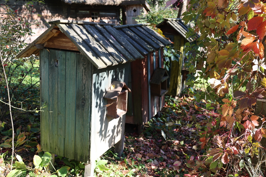 Uczestnicy ogólnopolskiego zjazdu szkół noszących imię Wincentego Witosa z wizytą w Markowej, 18 października 2024. Fot. Katarzyna Gajda-Bator (IPN)