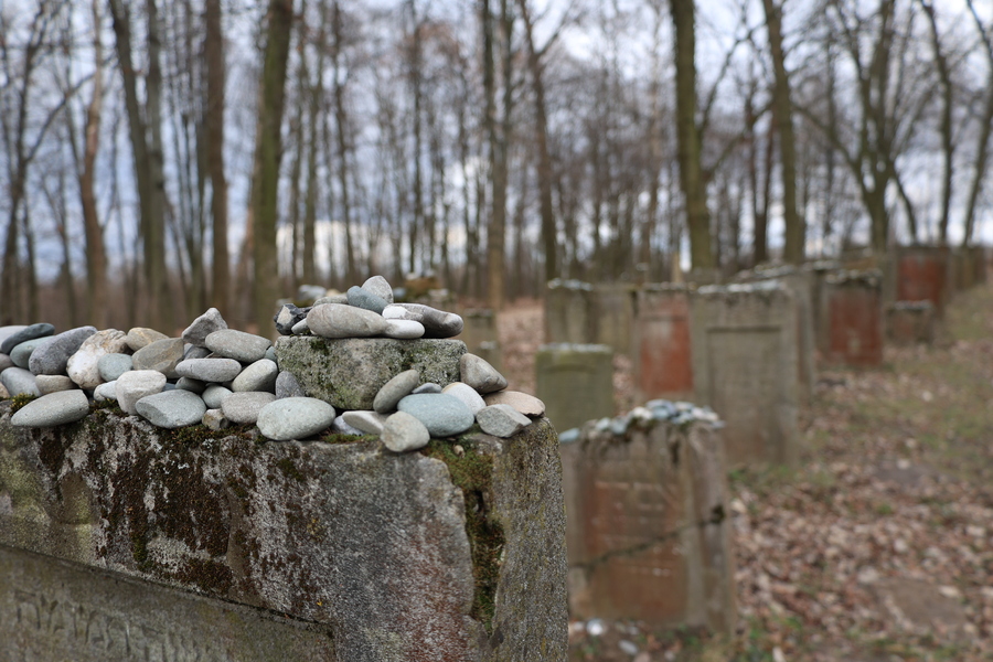 Cmentarz Żydowski w Leżajsku – 29 stycznia 2025. Fot. Katarzyna Gajda-Bator (IPN)