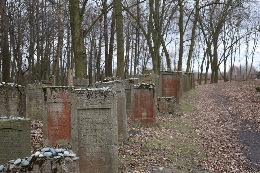 Cmentarz Żydowski w Leżajsku – 29 stycznia 2025. Fot. Katarzyna Gajda-Bator (IPN)