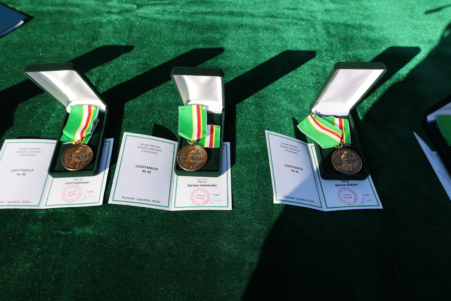 Obchody 85. rocznicy pierwszej masowej deportacji obywateli polskich w głąb Związku Sowieckiego – Rzeszów, 10 lutego2025. Fot. Katarzyna Gajda-Bator (IPN)