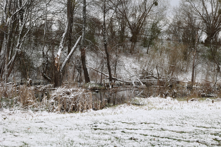 Radruż – 6 kwietnia 2025. Fot. Katarzyna Gajda-Bator (IPN)