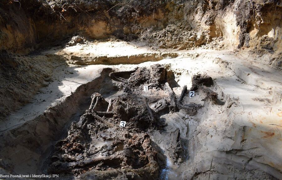 Prace poszukiwawcze na terenie Nowego Nartu (pow. niżański, woj. podkarpackie) – 29 maja - 2 czerwca 2023. Fot. Biuro Poszukiwań i Identyfikacji IPN.