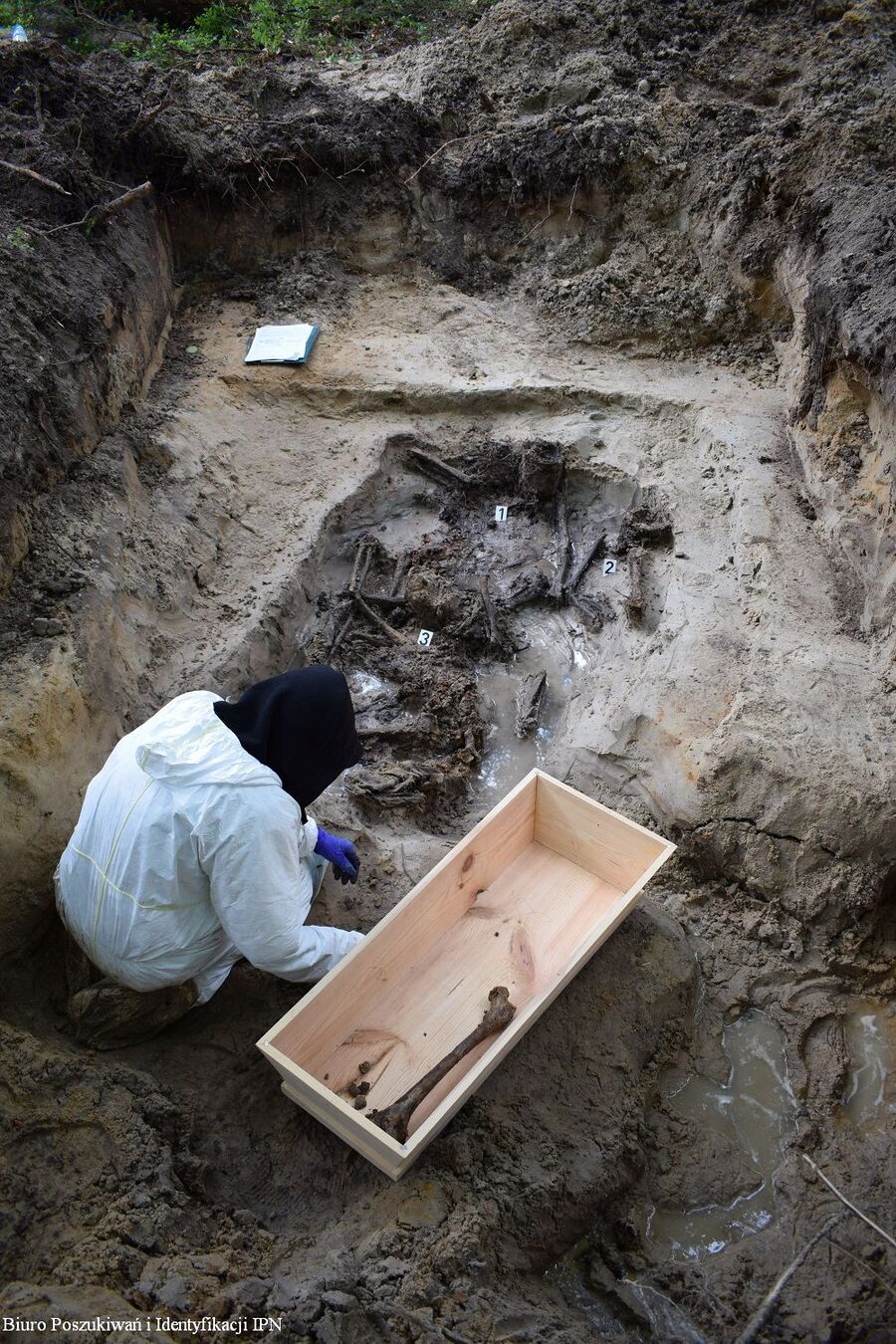 Prace poszukiwawcze na terenie Nowego Nartu (pow. niżański, woj. podkarpackie) – 29 maja - 2 czerwca 2023. Fot. Biuro Poszukiwań i Identyfikacji IPN.