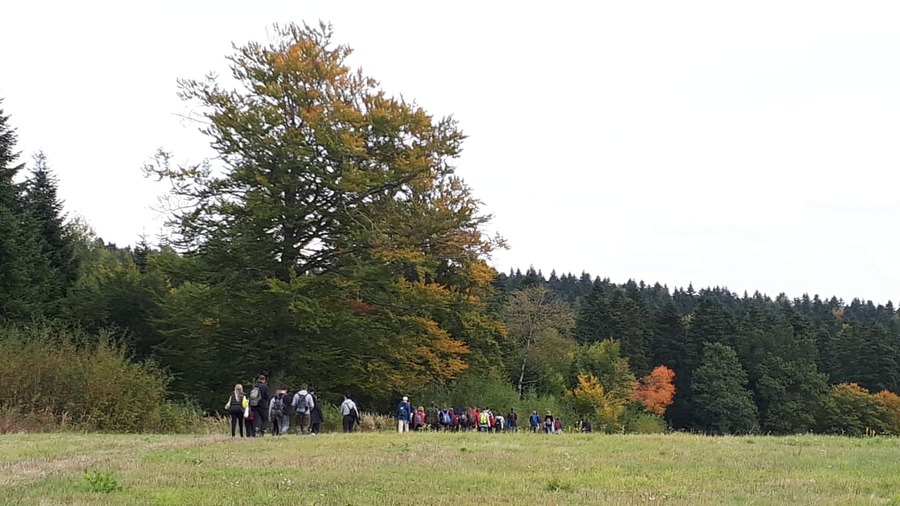 Rajd dla młodzieży „Szlakiem Bojów Wrześniowych” po Pogórzu Przemyskim.