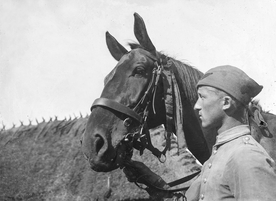 Zdjęcie 014. Na pierwszy planie kapral podchorąży (o nieustalonych personaliach) ze SPRA we Włodzimierzu Wołyńskim z koniem, w tle dach budynku krytego strzechą. Zdjęcie wykonane podczas ćwiczeń wojskowych na poligonie artyleryjskim między wsią Powórsk i Czeremoszno w powiecie kowelskim na Wołyniu. Lata 1932–1933.