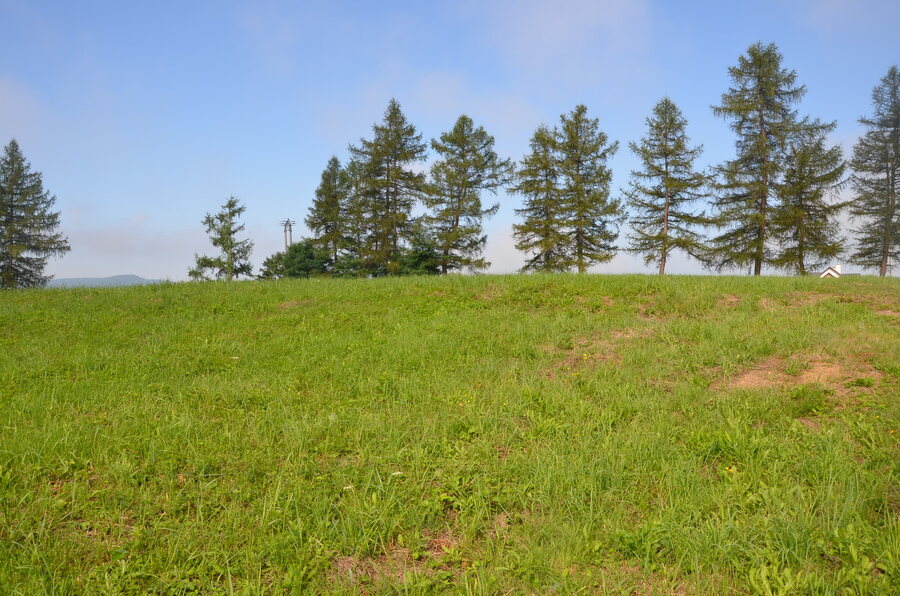 Odsłonięcie tablicy upamiętniającej 81. rocznicę Akcji Reinhardt – Jasienica Rosielna, 11 sierpnia 2023. Fot. Katarzyna Gajda-Bator (IPN)