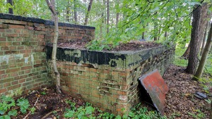 Ruiny obozu Oberlangen, Fot. Mirosław Surdej (IPN)