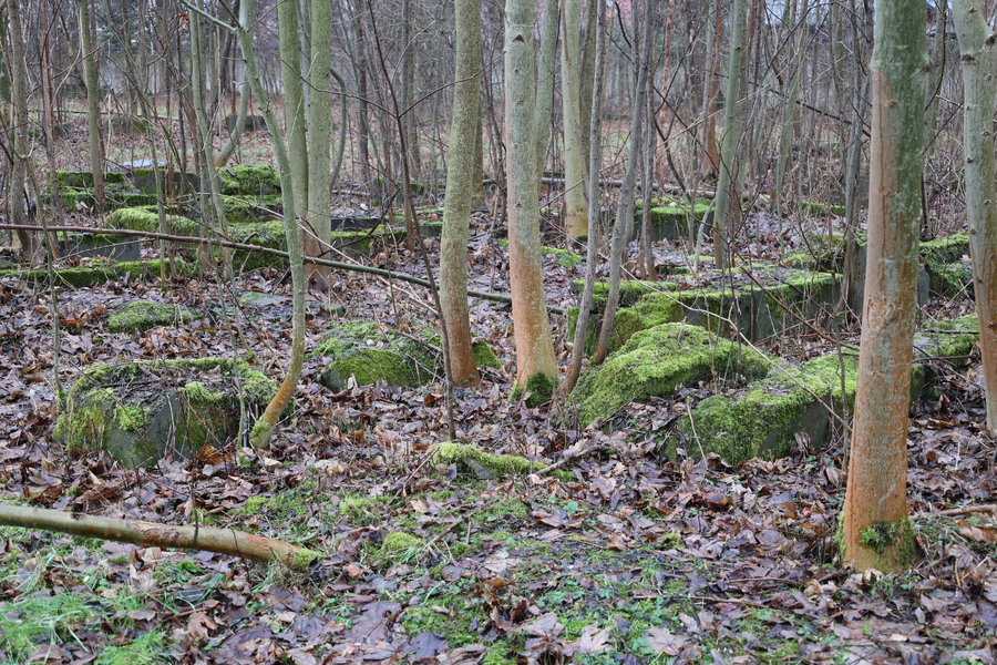 Obchody Dnia Pamięci o Ofiarach Holokaustu – Rzeszów, 25 stycznia 2024. Fot. Katarzyna Gajda-Bator (IPN)